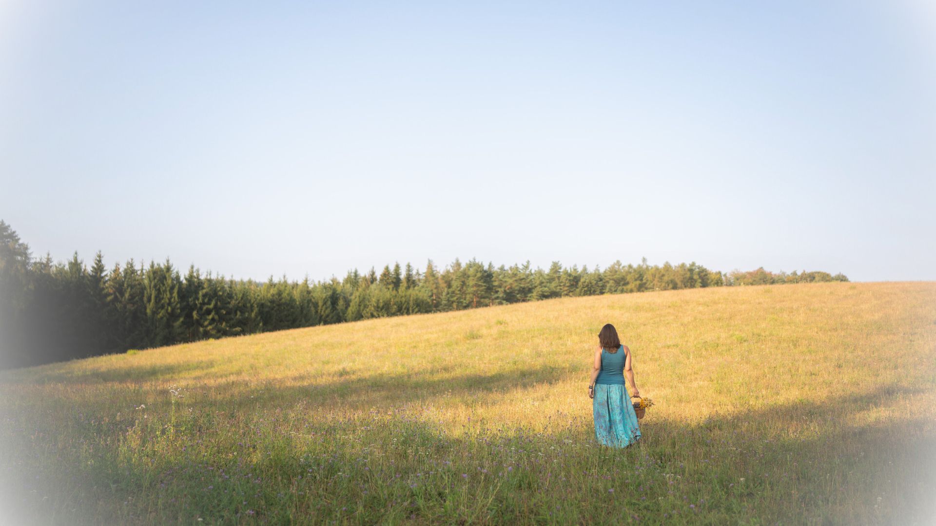 Byliny a sběr bylin